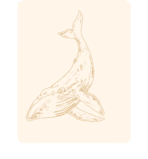 Challenge Card Placeholder